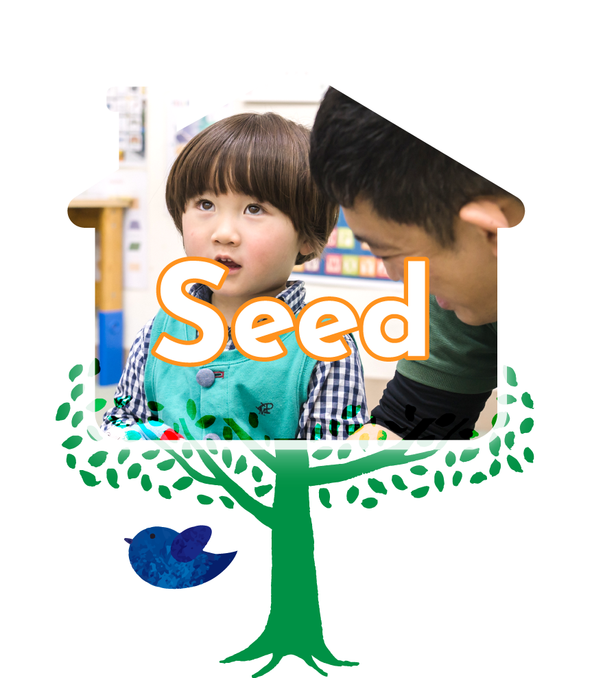 シードクラス